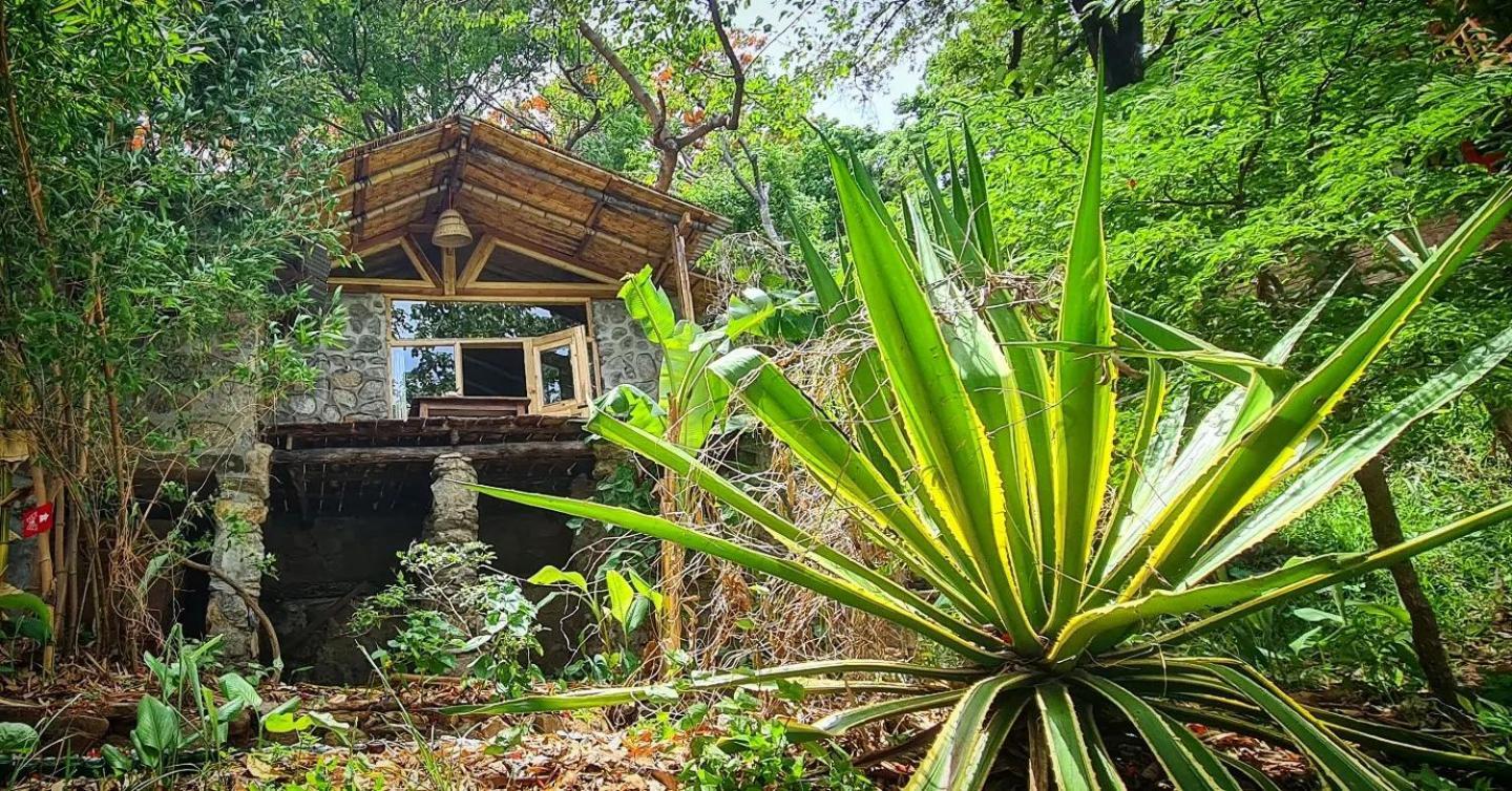 Butterfly Space- A Non-Profit Eco-Lodge Nkhata Bay Exterior foto