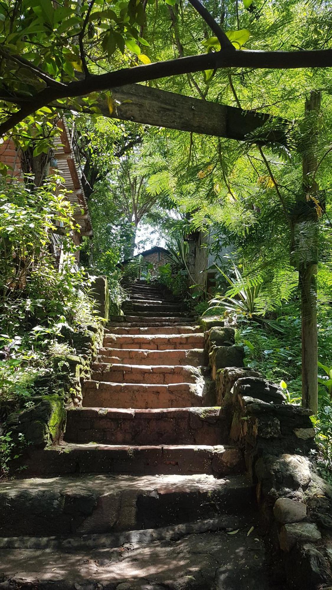 Butterfly Space- A Non-Profit Eco-Lodge Nkhata Bay Exterior foto
