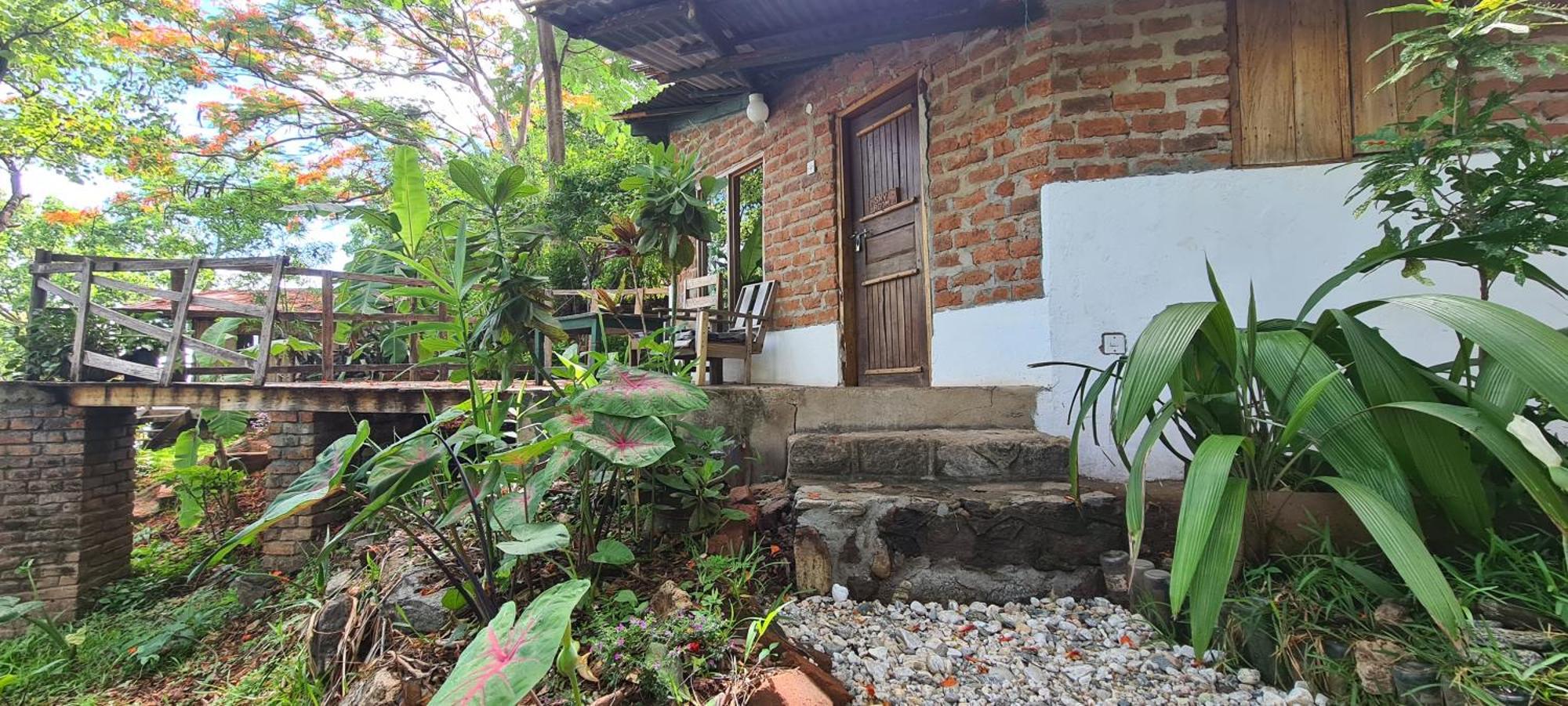 Butterfly Space- A Non-Profit Eco-Lodge Nkhata Bay Exterior foto